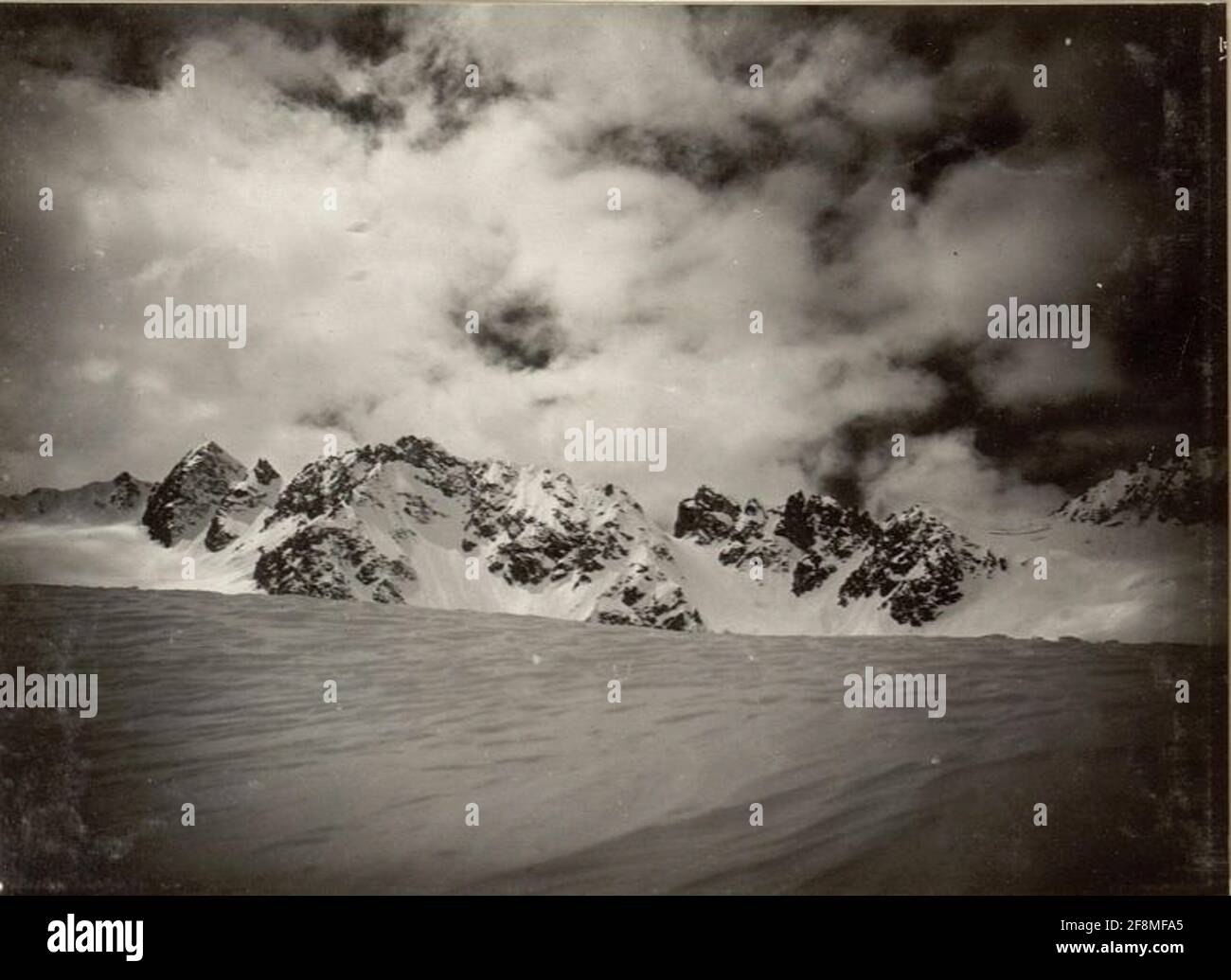 Snowschartl Castellaccio. Stockfoto Snowschartl Castellaccio. Stockfoto