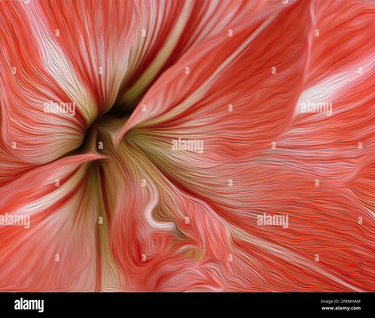Detail der Amaryllis Blüte Stockfoto