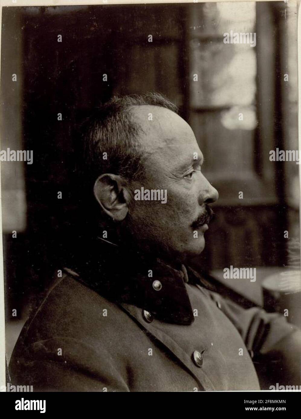 Feldmarschall Svetozar Boroevic von Bojna, General der Infanterie, Kommandeur der 5. Armee, Profilaufnahme des Gesichtsausstosses im Frühjahr 1916 in Postojna (Adelsberg) Slowenien Stockfoto