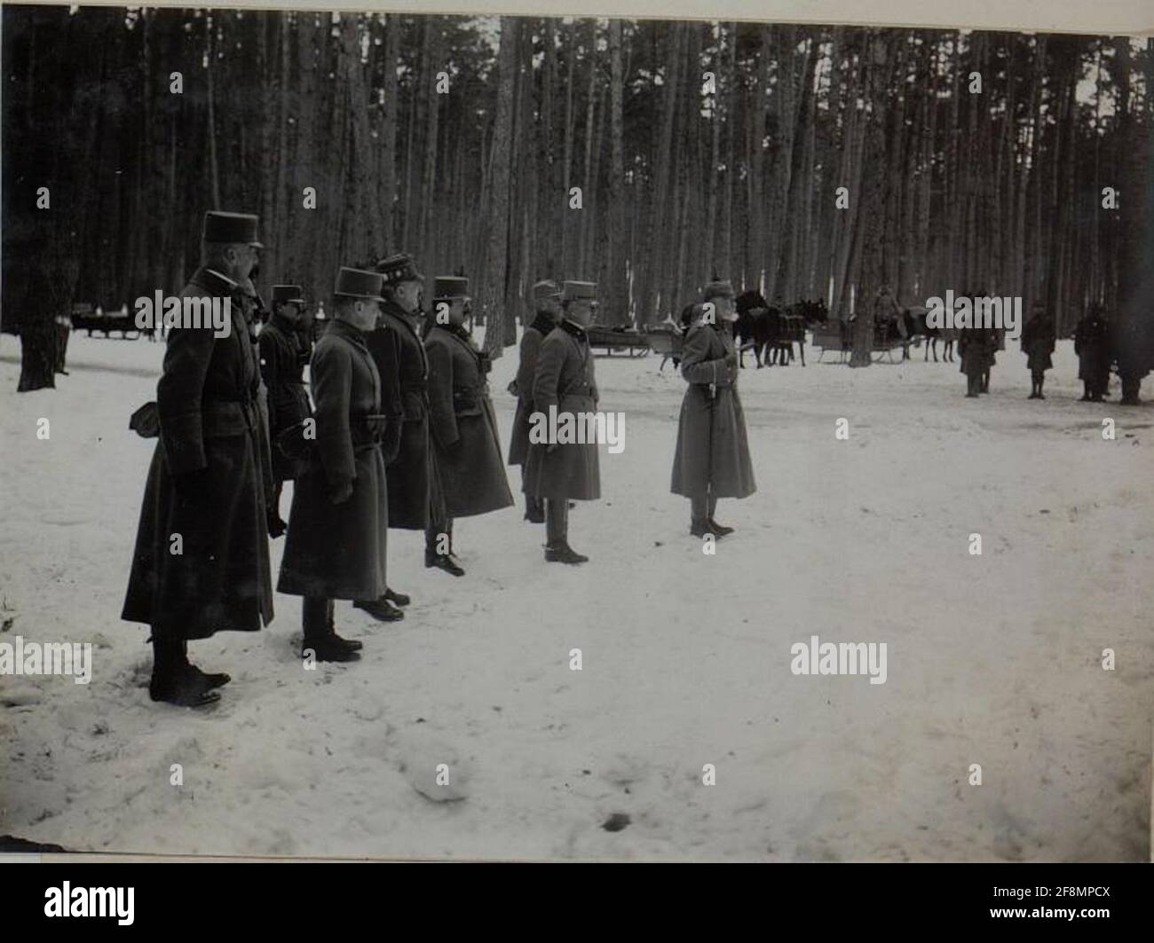 Die Kommandierung des deutschen Ostemischen Generalfeldmarschalls Prinz Leopold von Bayern insoziert die Wiener Truppen der Infanteriedivision von 25. Stockfoto