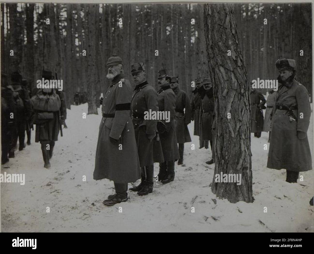 Die Kommandierung des deutschen Ostemischen Generalfeldmarschalls Prinz Leopold von Bayern insoziert die Wiener Truppen der Infanteriedivision von 25. Stockfoto