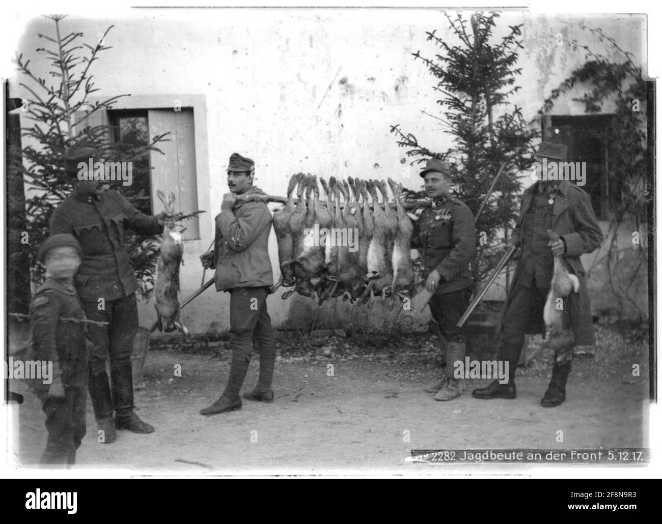 Wild an der Front vermutlich in der Nähe von Cervignano, Venetien; Fotograf: Kriegsvermessung 5. Stockfoto