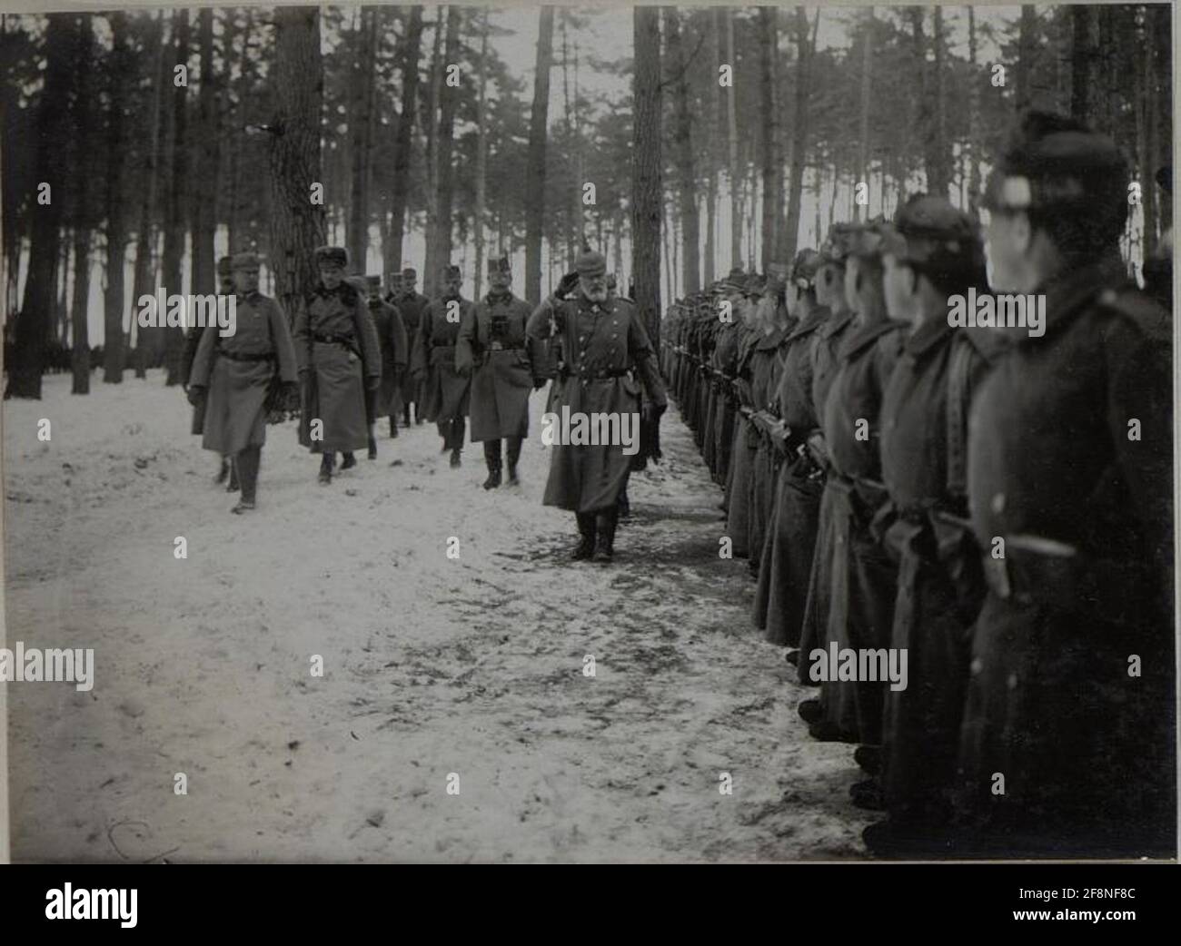 Die Kommandierung des deutschen Ostemischen Generalfeldmarschalls Prinz Leopold von Bayern insoziert die Wiener Truppen der Infanteriedivision von 25. Stockfoto