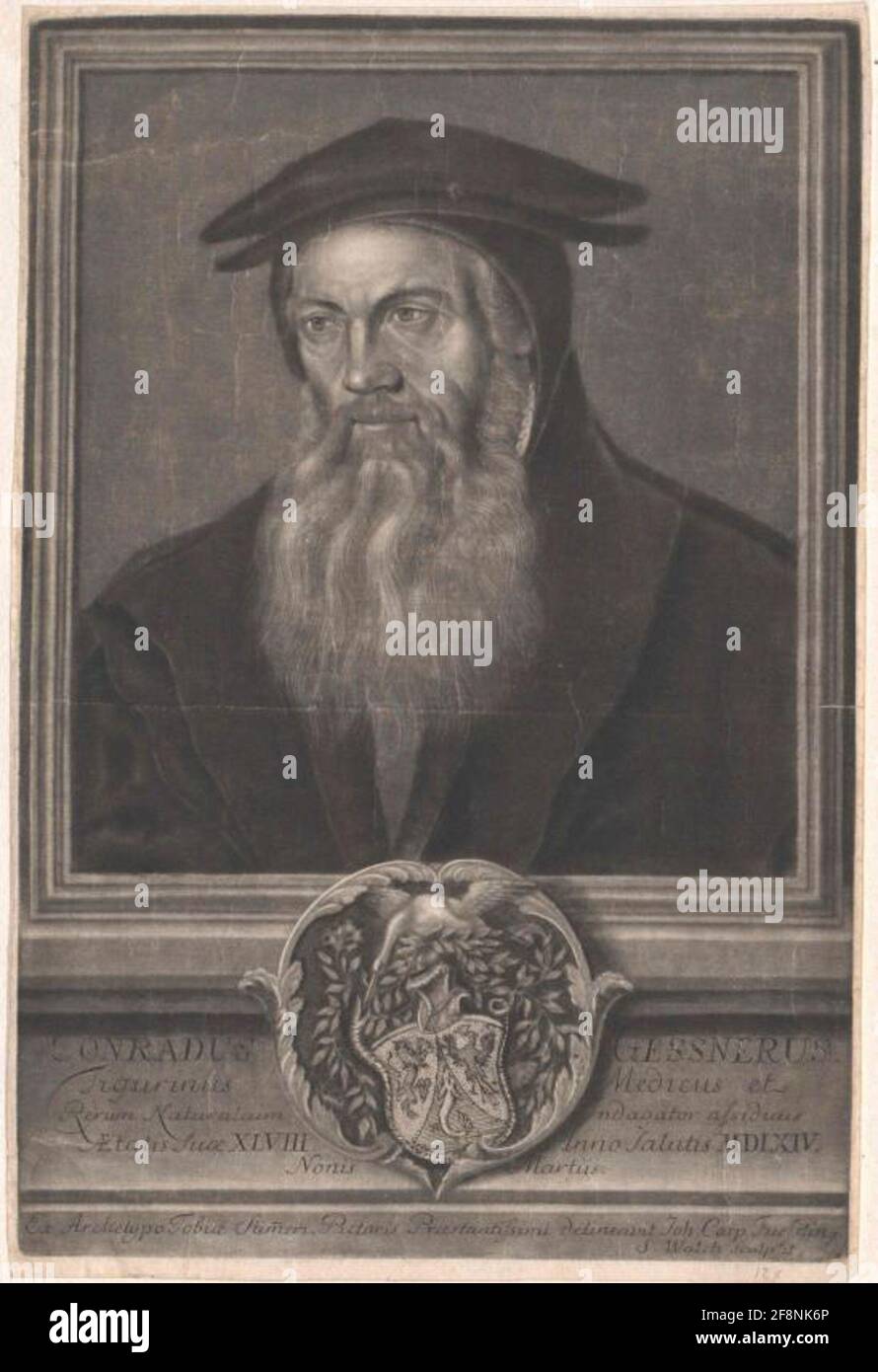 Geste, Konrad. Stockfoto