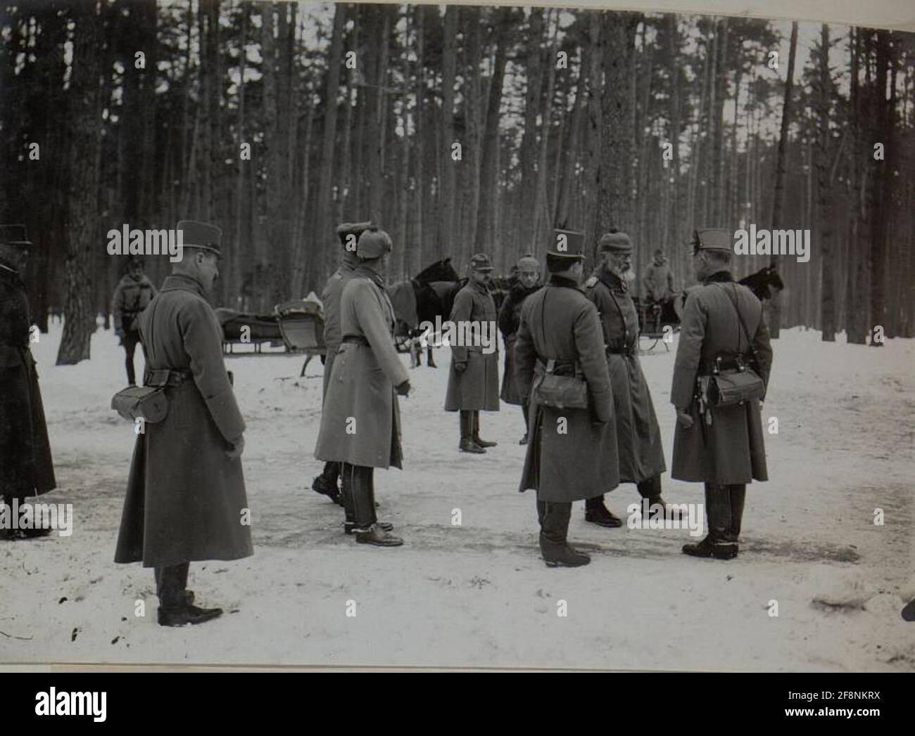 Die Kommandierung des deutschen Ostemischen Generalfeldmarschalls Prinz Leopold von Bayern insoziert die Wiener Truppen der Infanteriedivision von 25. Stockfoto