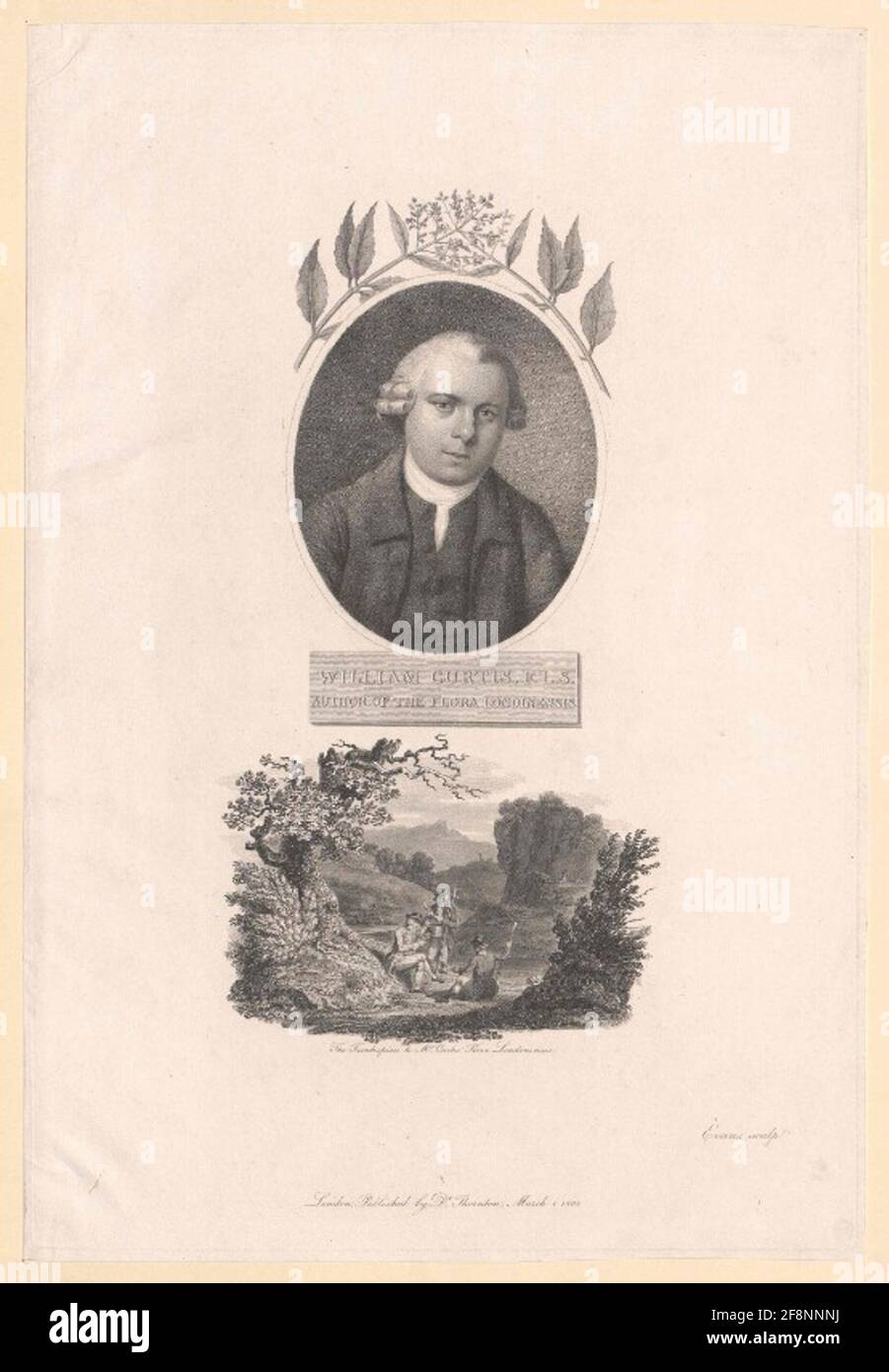 Curtis, William . Stockfoto