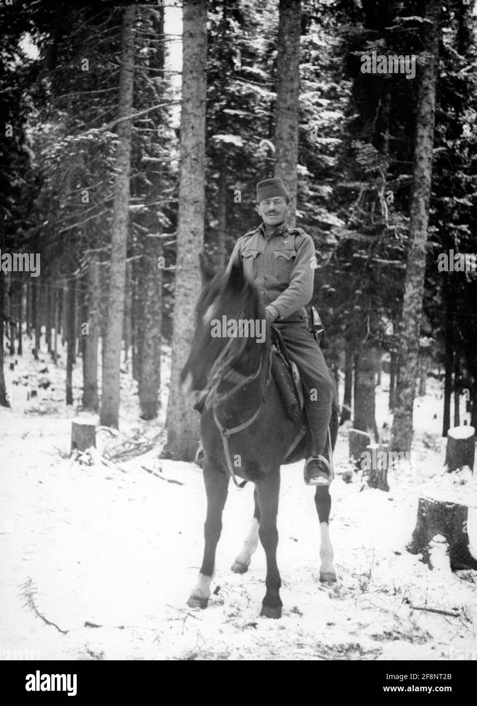 Ein angesehener Soldat der 11. Armee. Stockfoto