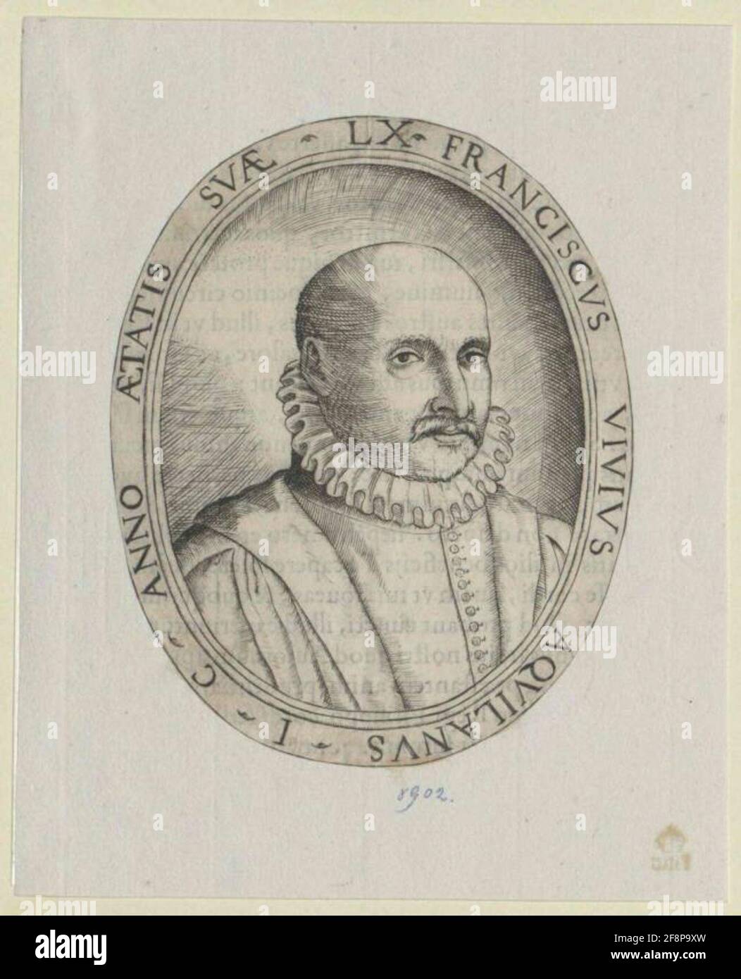 Vivis, fracing. Stockfoto