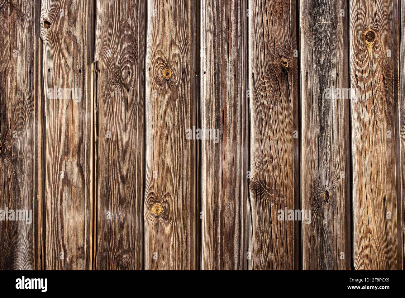 Feder und Nut Kiefer Holz Wand. Dunkel verknotet und verwittert aussehen Stockfoto