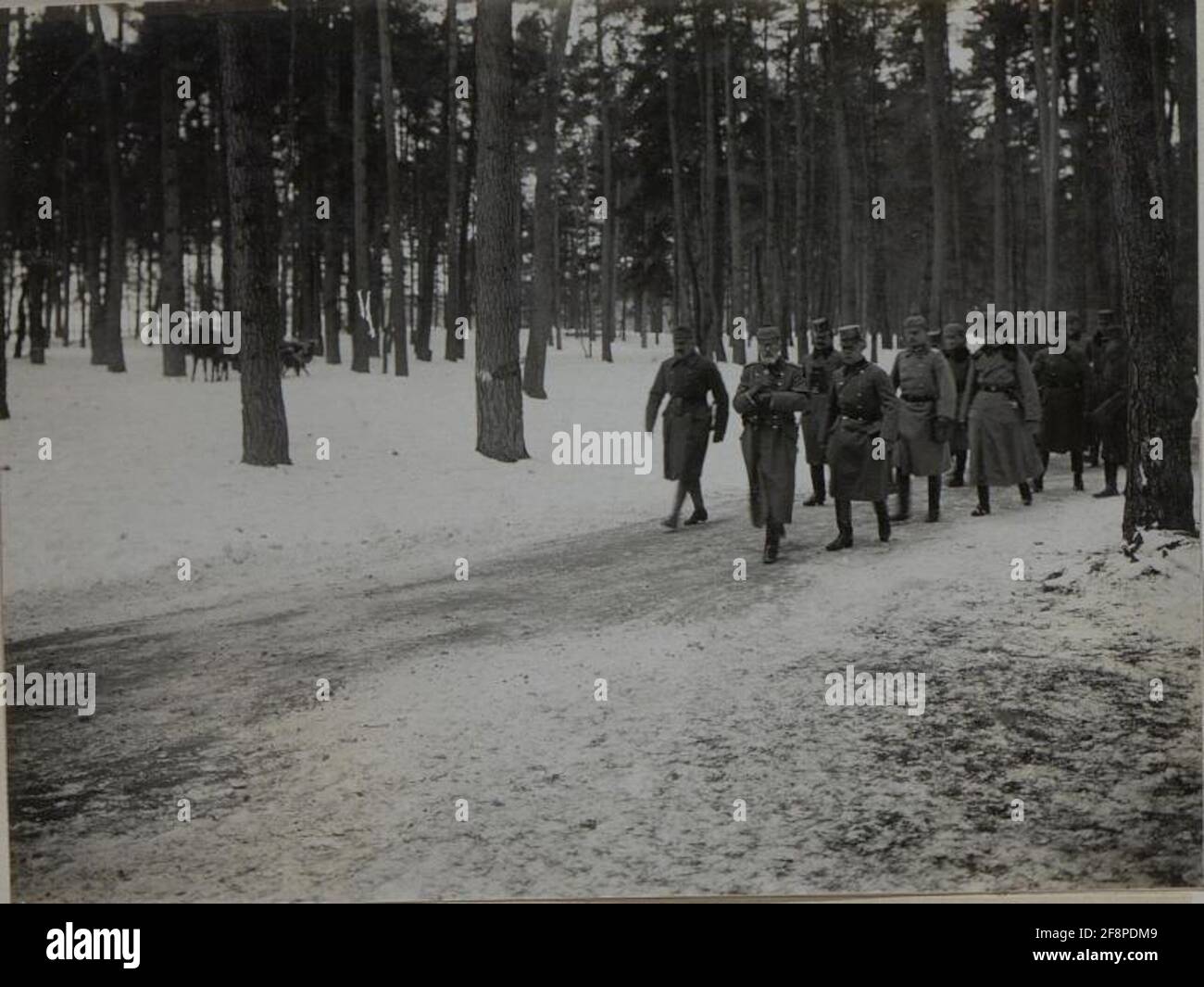 Die Kommandierung des deutschen Ostemischen Generalfeldmarschalls Prinz Leopold von Bayern insoziert die Wiener Truppen der Infanteriedivision von 25. Stockfoto