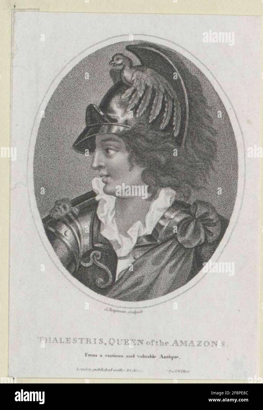 Thalestris . Stockfoto