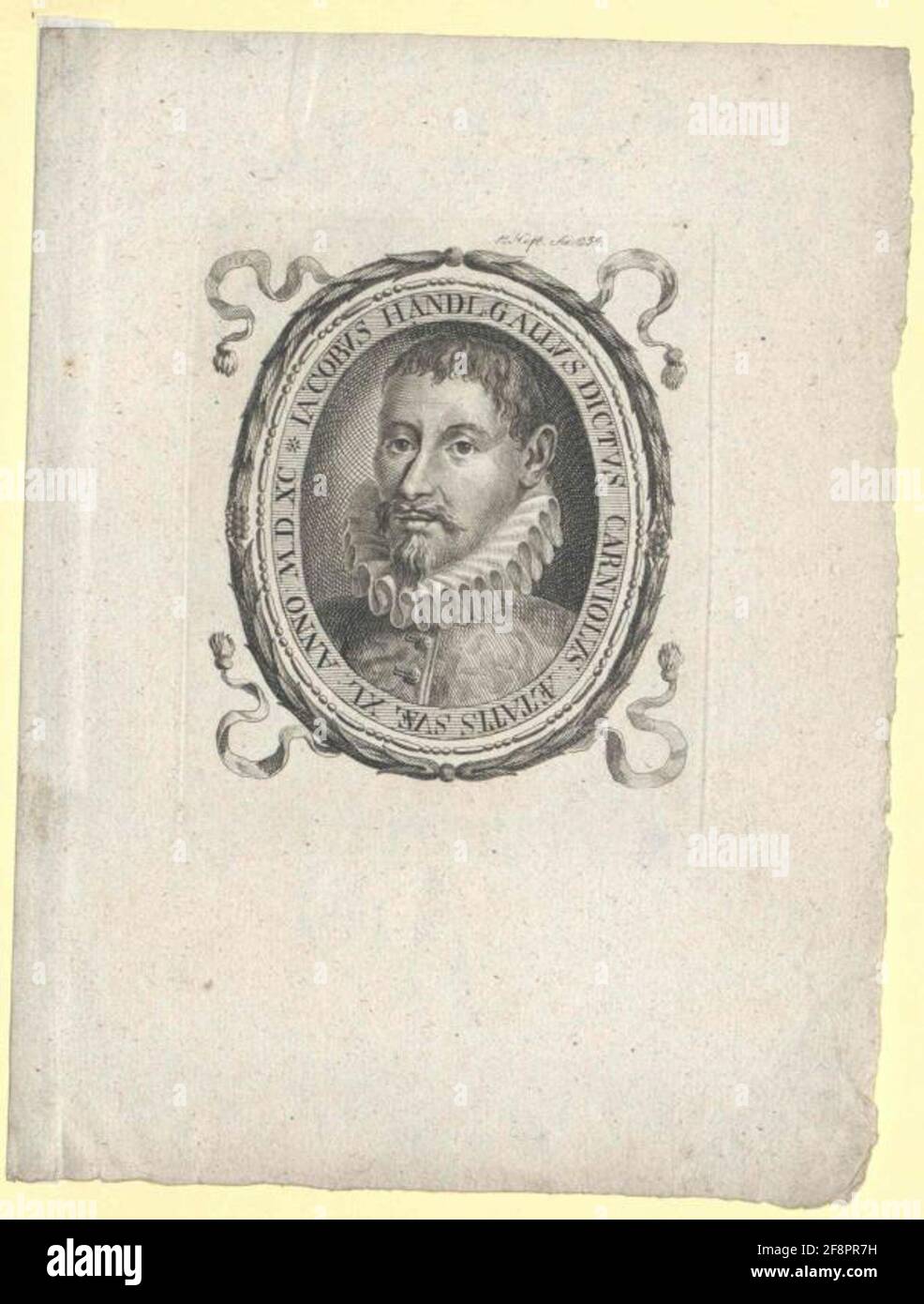 Jacobus gallus Fotos und Bildmaterial in hoher Auflösung Alamy