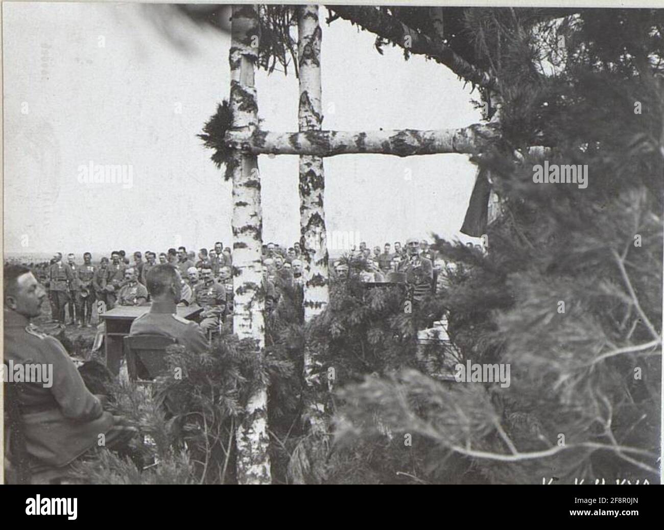 Feldmesse . Stockfoto