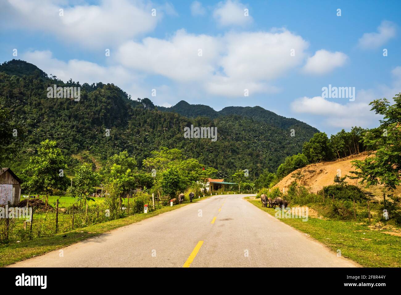 Wunderschöne grüne, lebendige Landschaft auf der Reise vom Nationalpark Phong Nha Ke Bang nach Cua Lo in Vietnam. Foto der ländlichen Landschaft, aufgenommen in Südostasien. Stockfoto