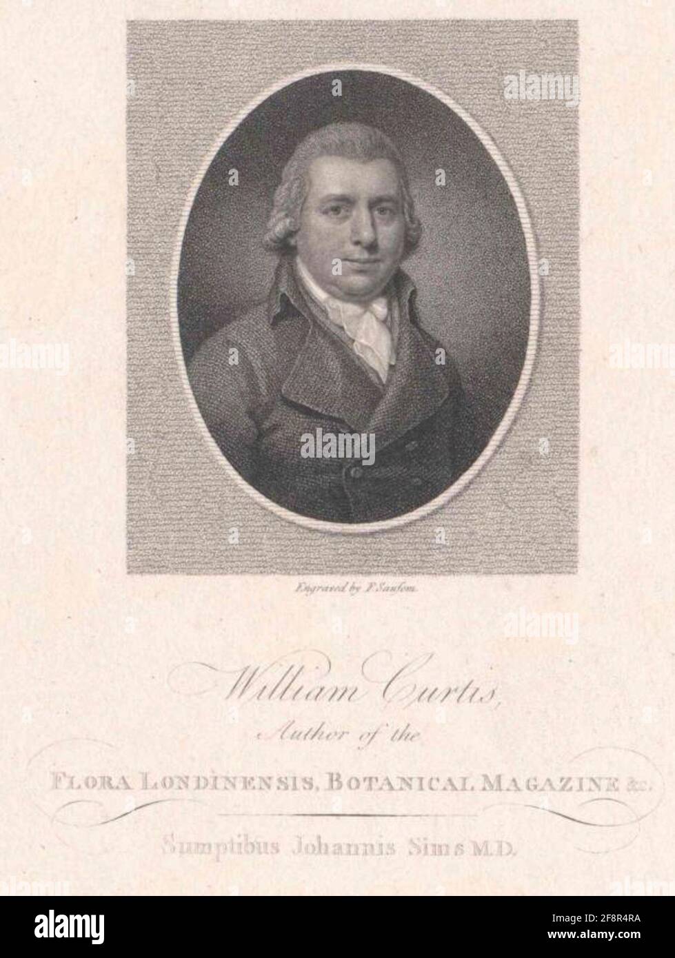 Curtis, William . Stockfoto