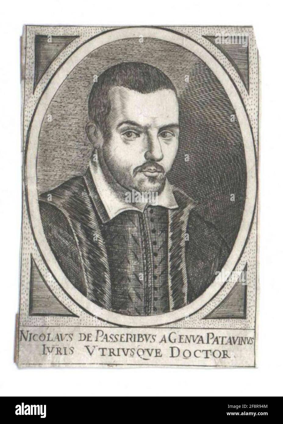 Spatzen, Niccolò. Stockfoto