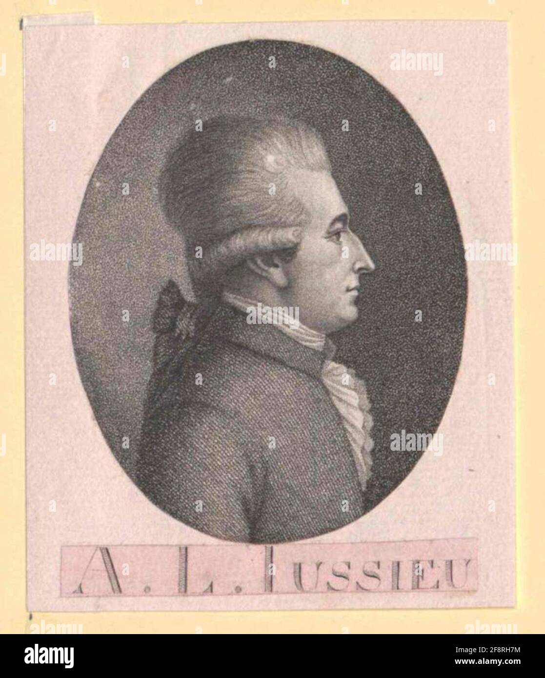 Jussieu, Antoine-Laurent de. Stockfoto