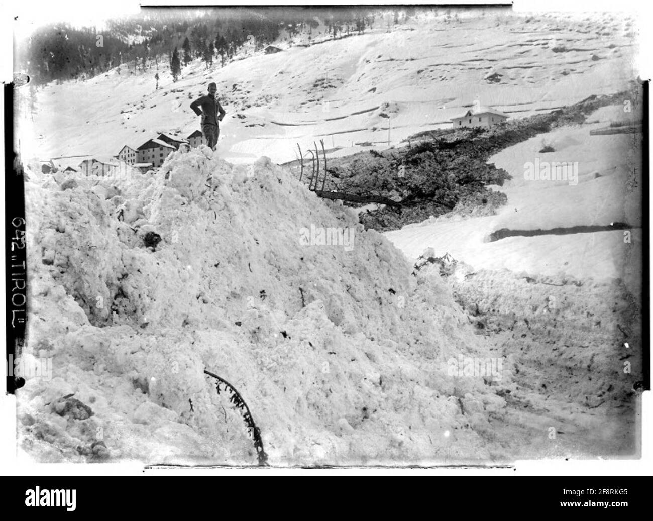 Fraviano Avalanche in Fraviano, nordwestlich, Fraviano, Vermiglio, Dolomiten. Fotograf: Flamm. Stockfoto