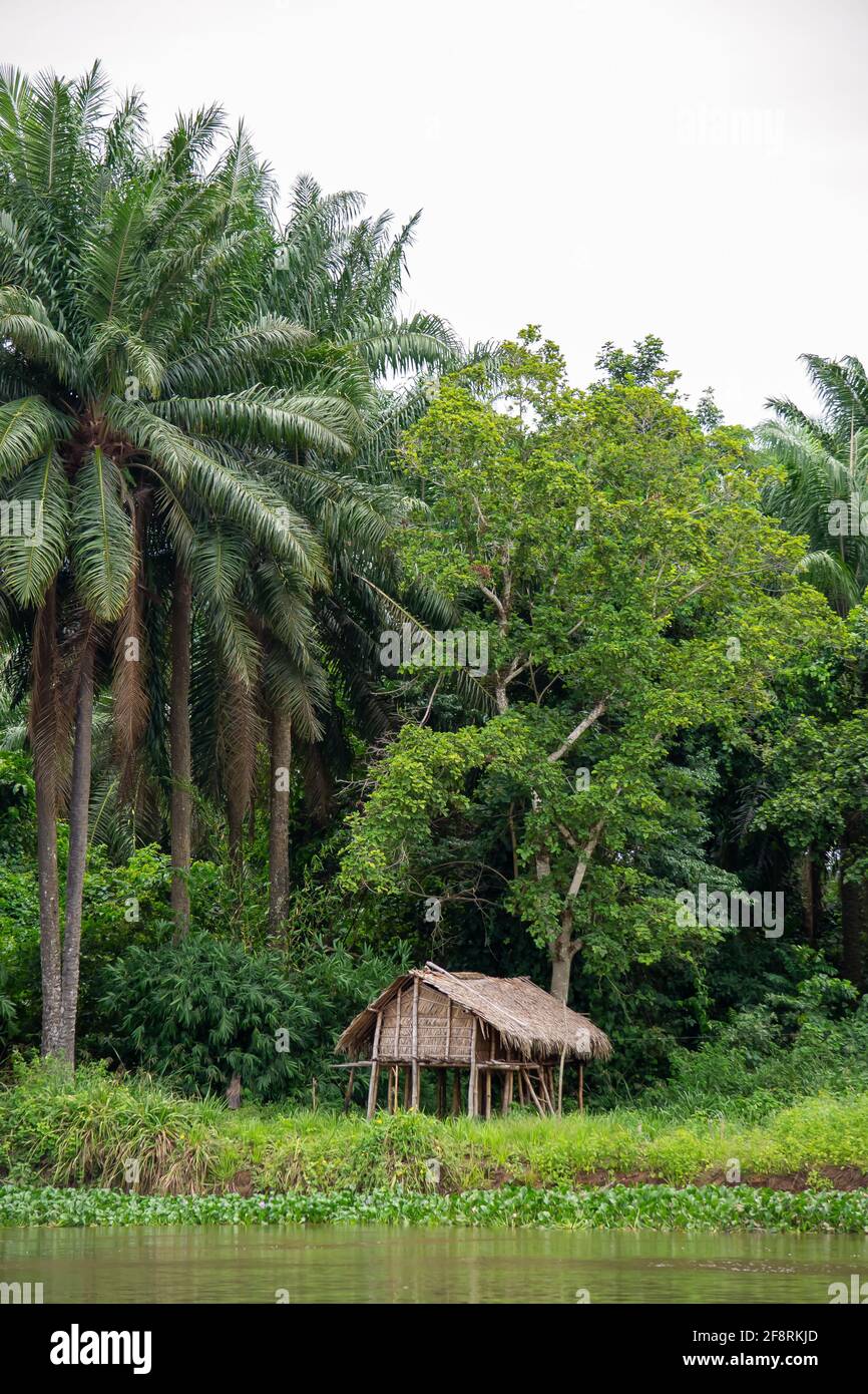 Isoliertes Haus auf Stelzen, am Ufer des Kongo-Flusses. Demokratische Republik Kongo, Zentralafrika Stockfoto