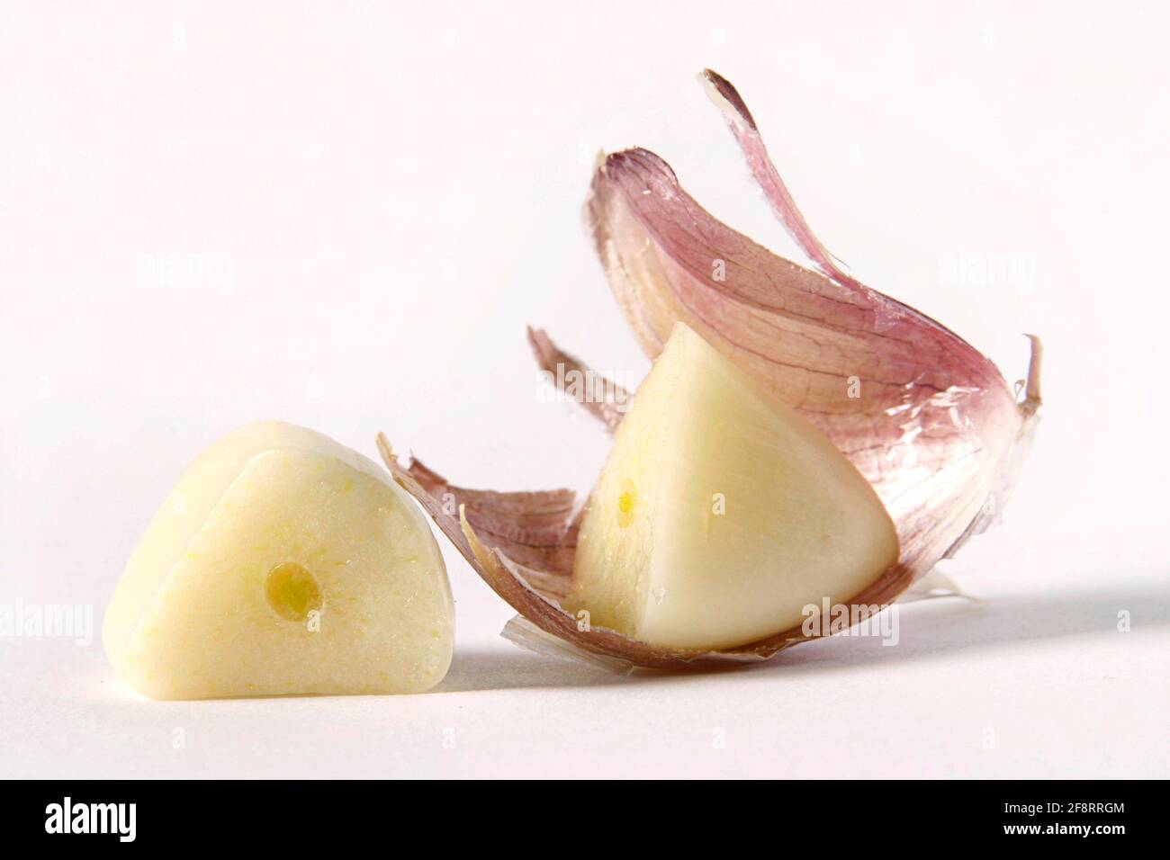 Gewöhnlicher Knoblauch (Allium sativum), geschälte Knoblauchzehe Stockfoto
