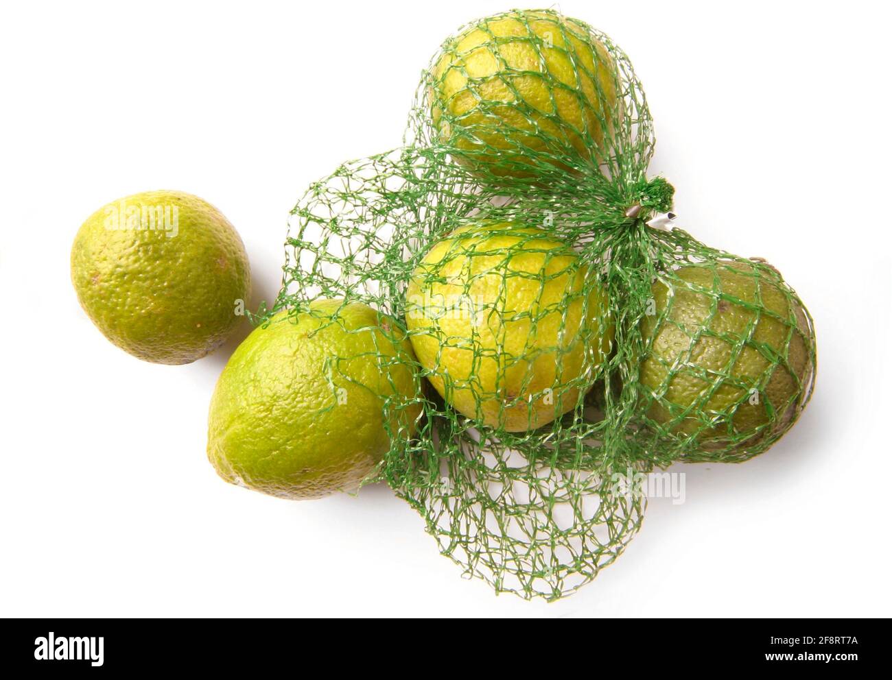 Limettenfrucht (Citrus aurantifolia), Limettenfrucht im Netz Stockfoto