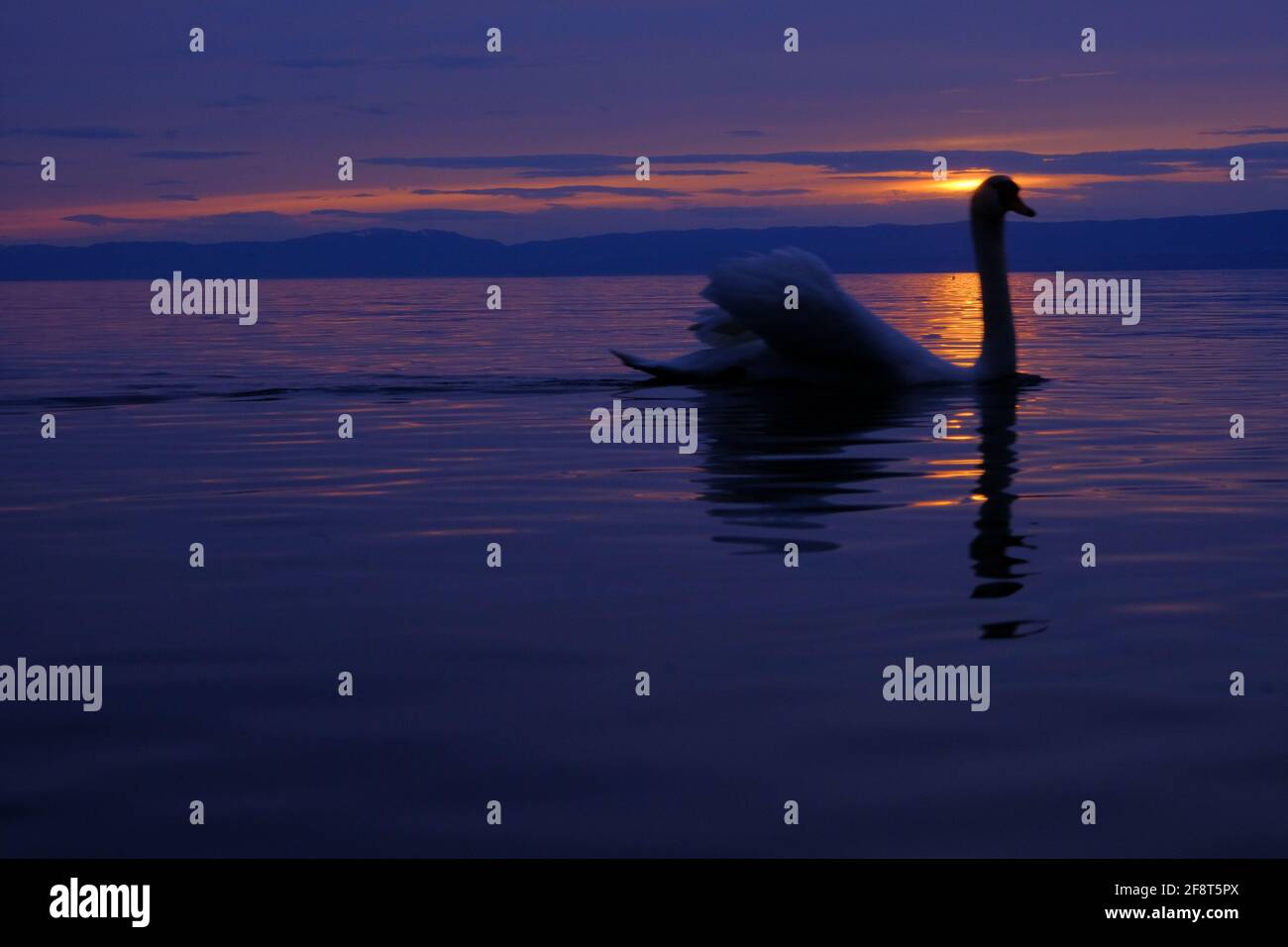 Lac Leman im April, Schweiz Stockfoto