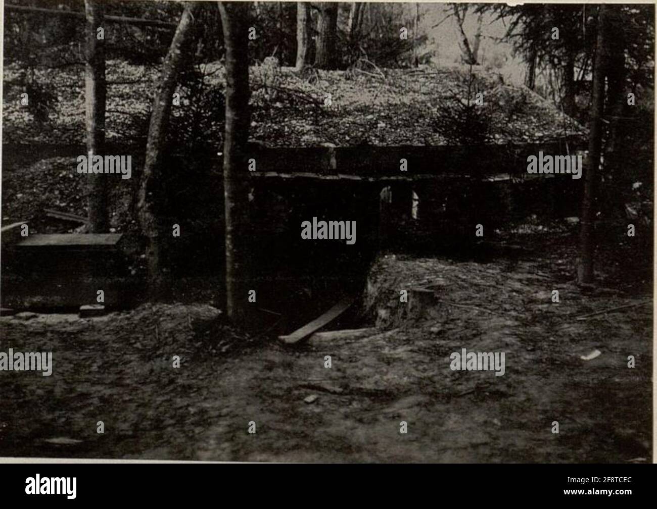 Basisbildung. Decken gleichzeitig die Unterstände ab. . Stockfoto