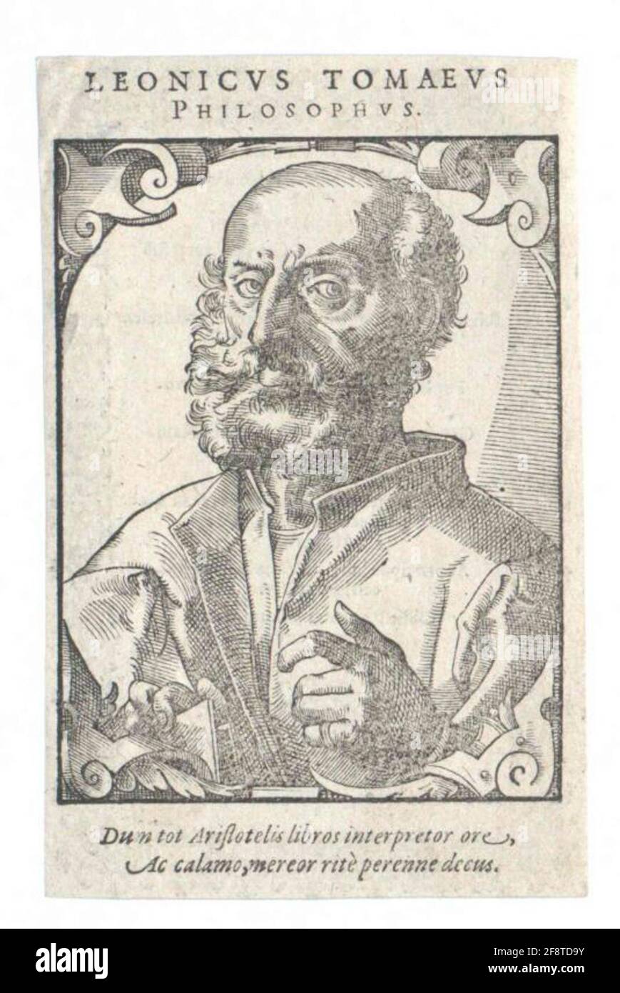Tomeo, Leonic Niccolo. Stockfoto