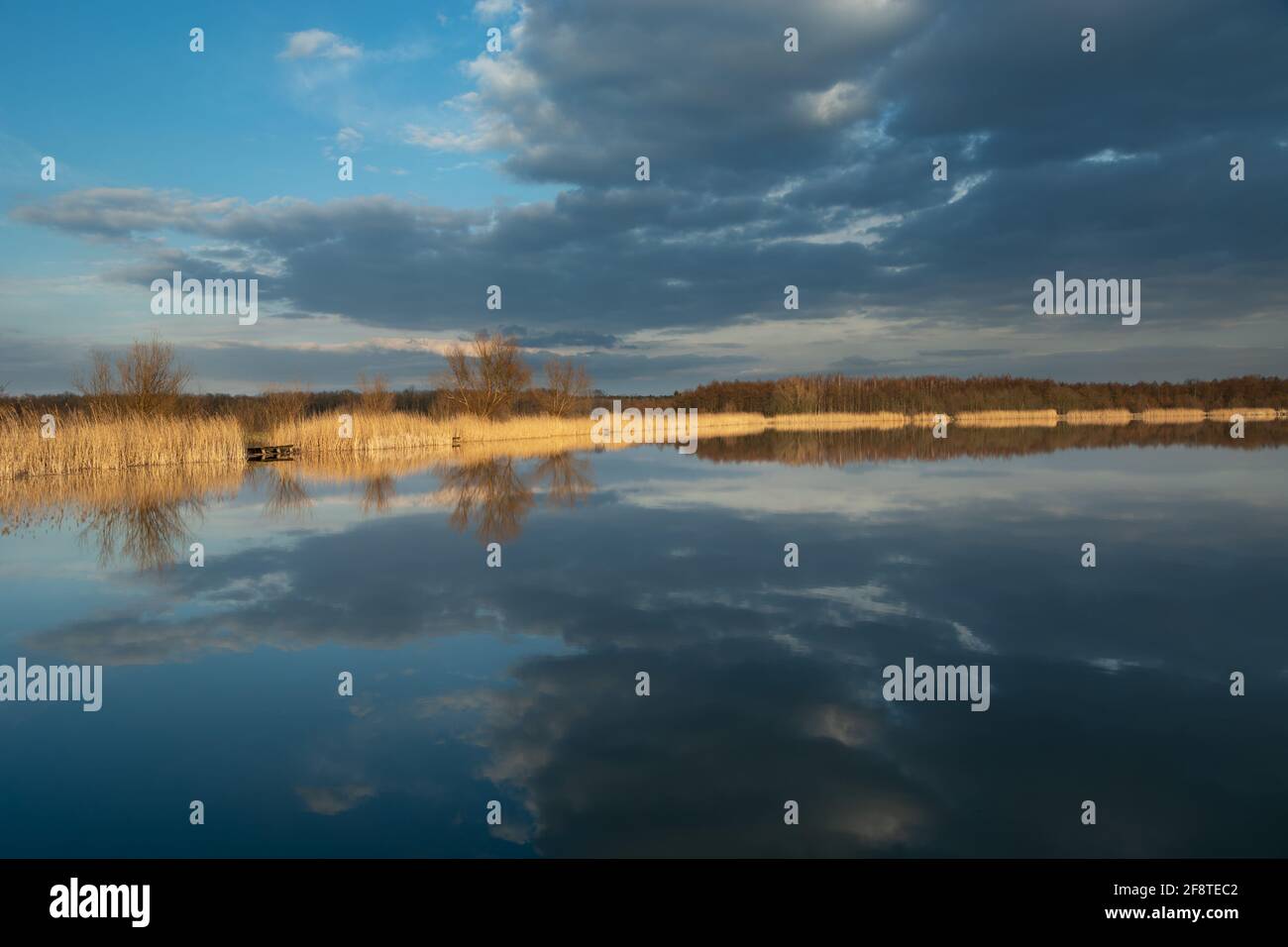 Spiegelbild dunkler Wolken im Wasser eines ruhigen Sees, Stankow, Lubelskie, Polen Stockfoto