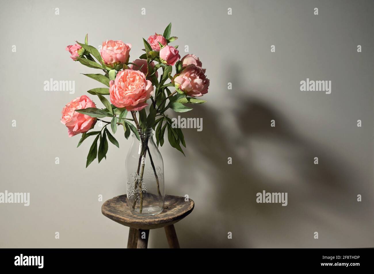 Pfingstrosen Blumen in Vintage Vase und Schatten Stockfoto