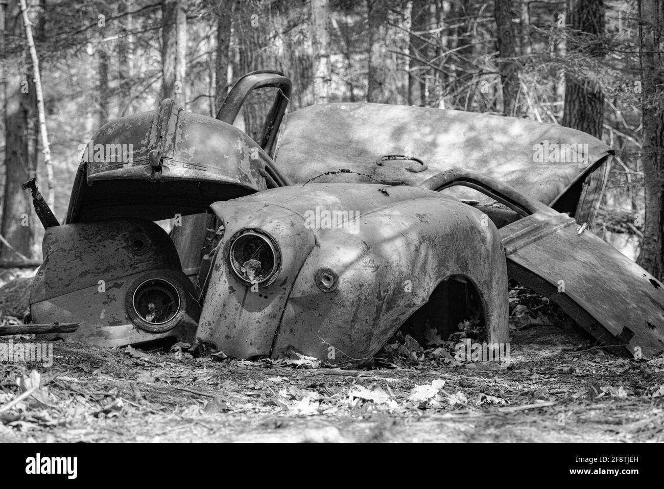 Ein Beispiel für ein altes verlassene Fahrzeug, das in den Wäldern auf vielen alten Gehöfen in den USA zu finden ist Stockfoto