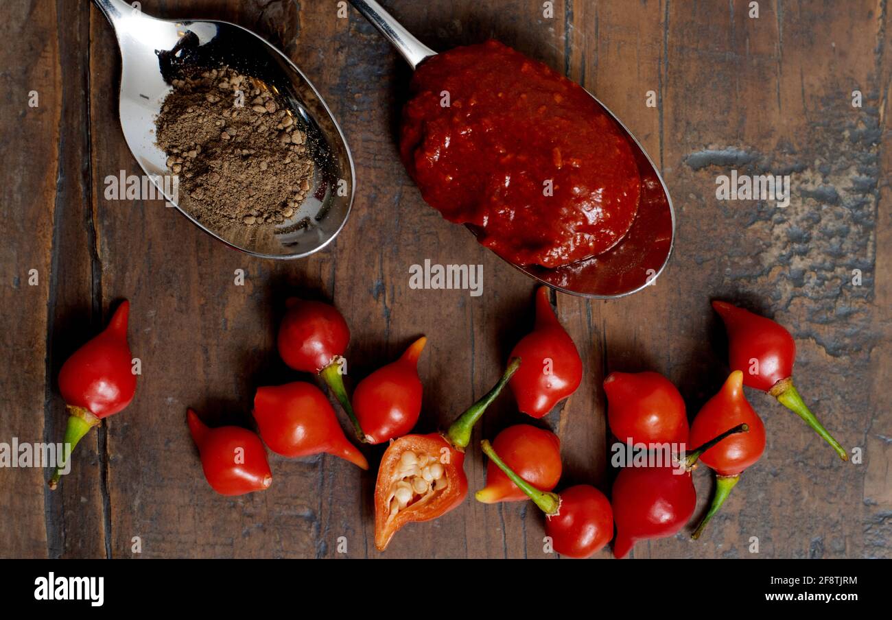 Würzige Zutaten Chilisauce und Gewürz auf rustikalem Holztisch Stockfoto