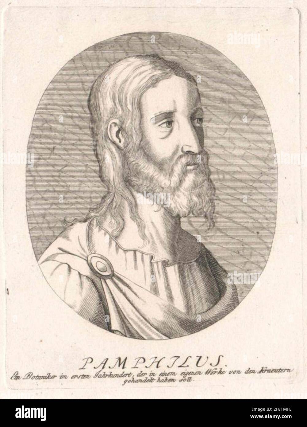 Pamphilius Fotos und Bildmaterial in hoher Auflösung Alamy