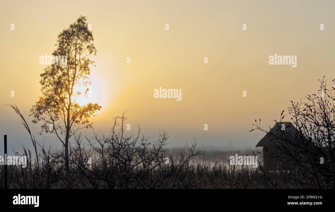 Die Sonne geht am nebligen Morgen hinter der Baum- und Vogelbeobachtungshütte im Rietvlei-Naturschutzgebiet auf. Stockfoto