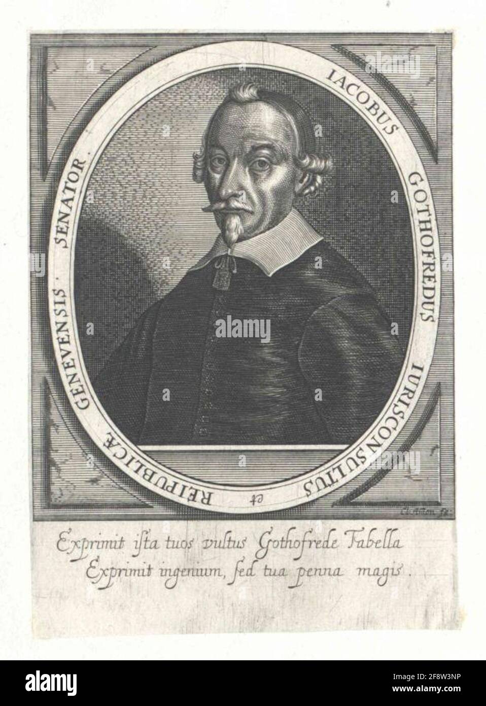 Godefroy, Jacques Stecher: Ammon, Clemensverlag: Sonnenblumen, Jean-Antoine u. Samuel Stockfoto