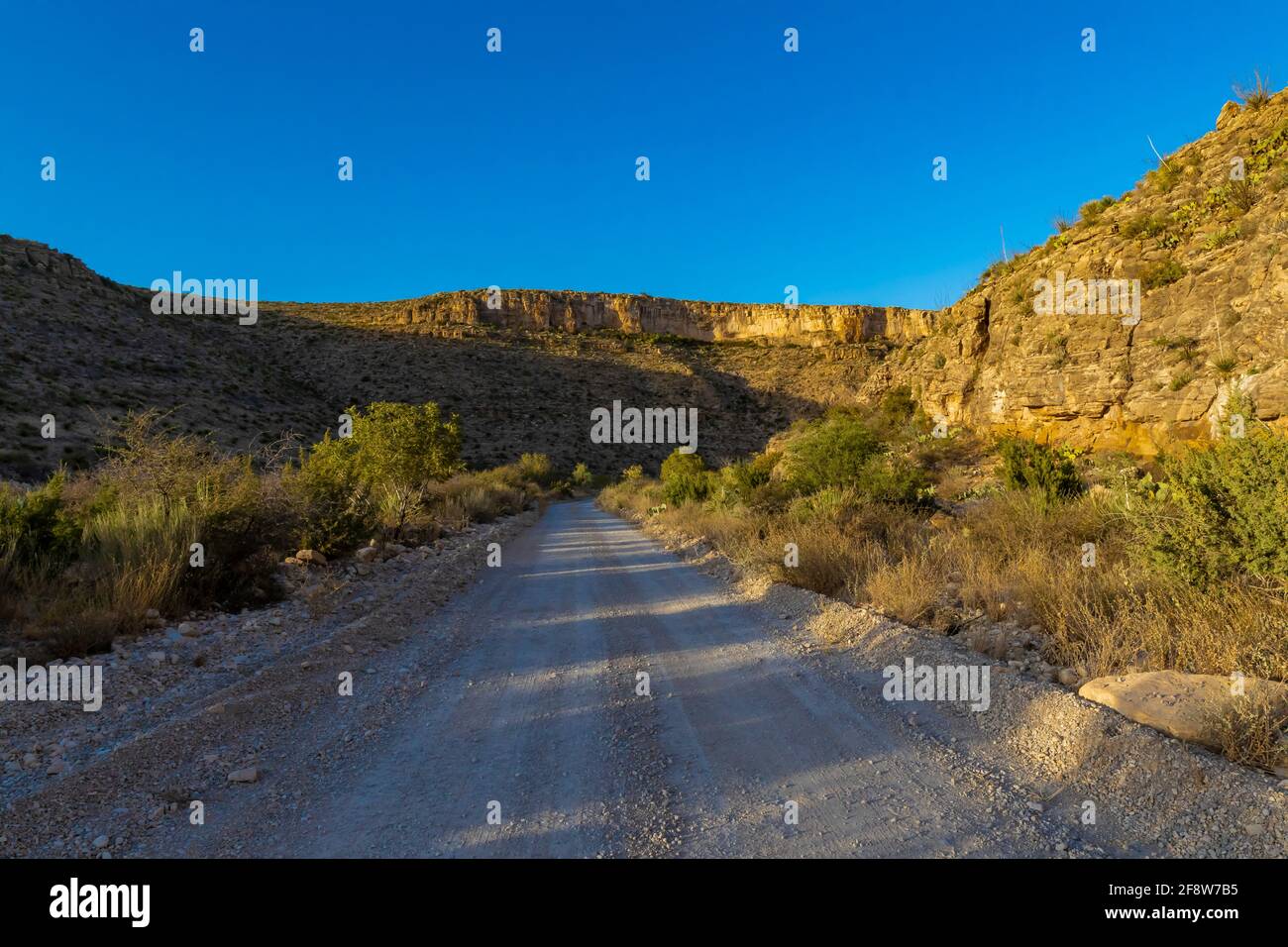 Walnut Canyon Desert Drive im Carlsbad Caverns National Park, New Mexico, USA Stockfoto