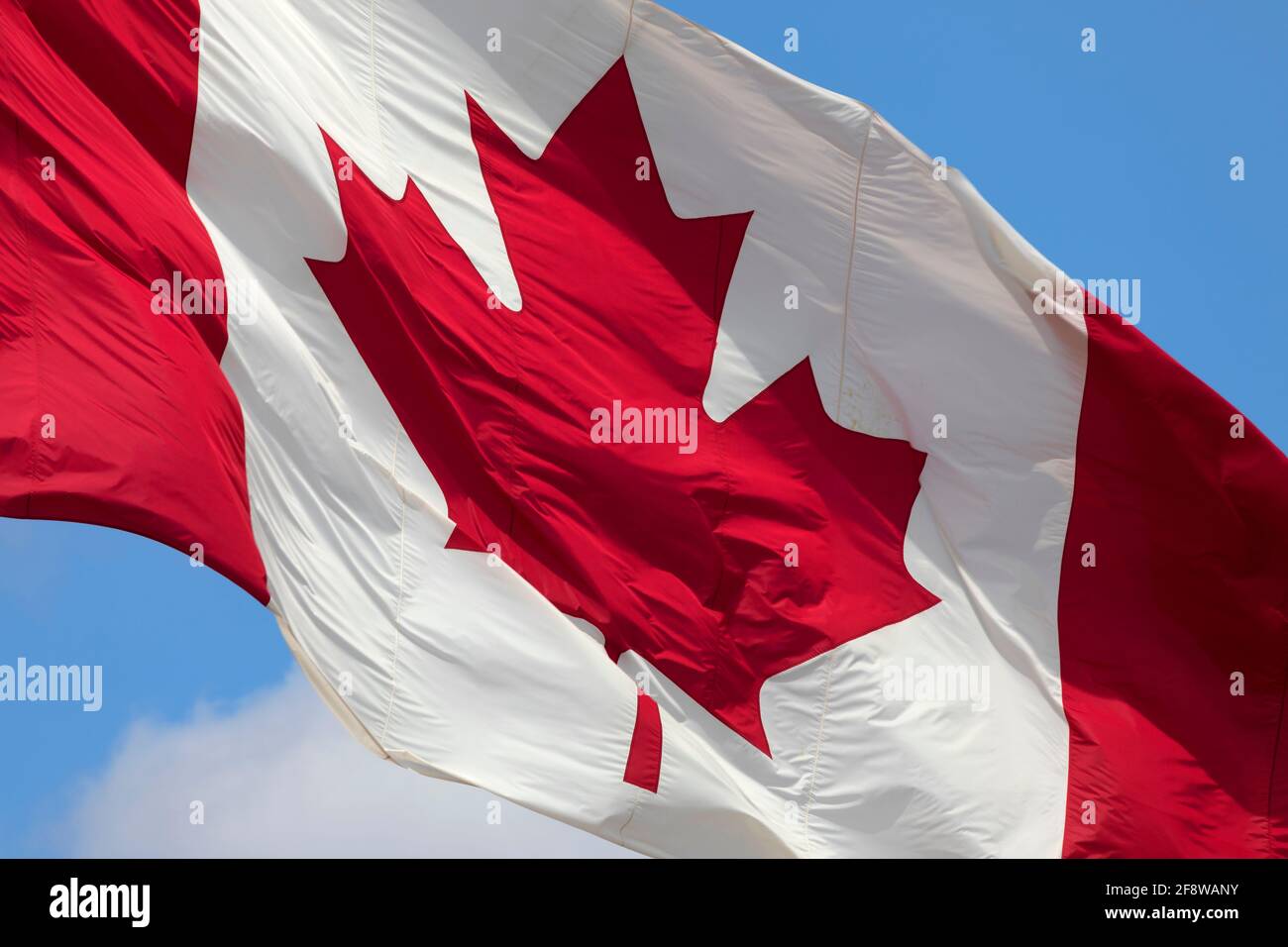 Kanadische Ahornblatt-Flagge auf Fahnenmast. Stockfoto