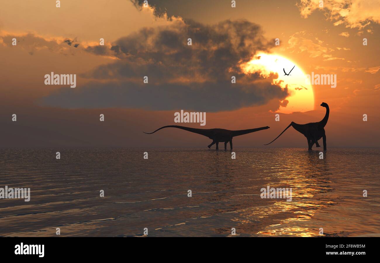 Diplodocus Sauropod Dinosaurier Abkühlung Stockfoto