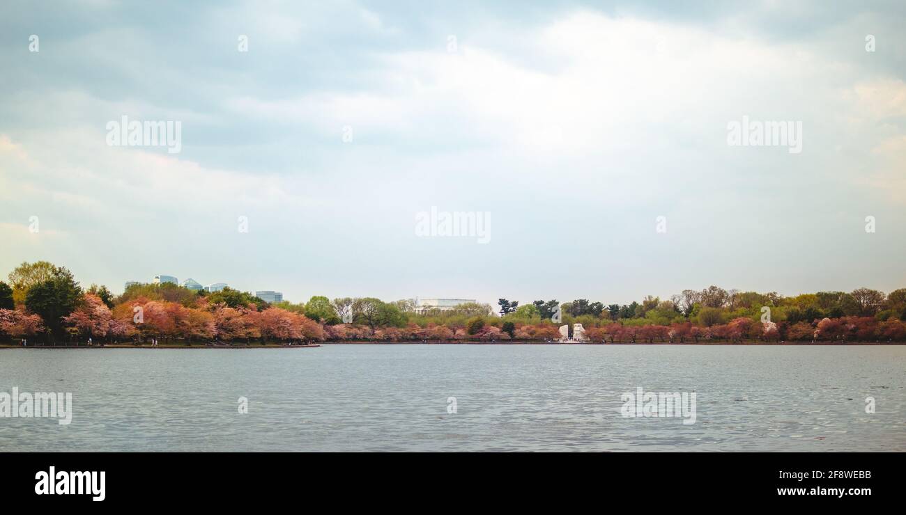 Das Gezeitenbecken, das Lincoln Memorial, das MLK Memorial und die Skyline von Arlington, Washington, DC. Stockfoto