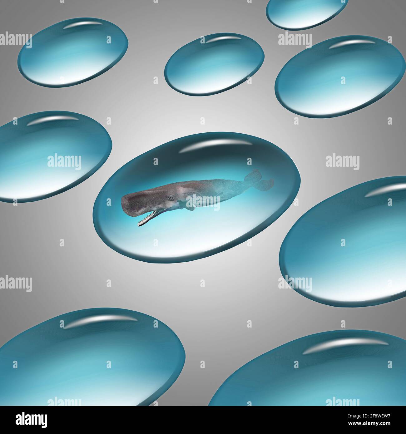 In einer 3-D-Illustration über Wasserqualität und Ozeanökologie wird ein Pottwal in einem Wassertropfen gesehen. Stockfoto