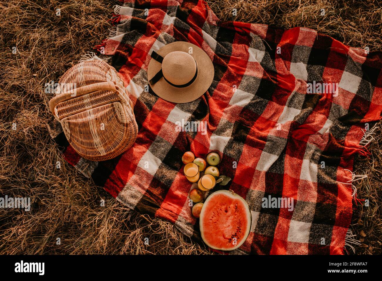 Reisedecke kariert rot kariert kariert im Sommer auf Gras an sonnigen Tag für Picknick. Weidenkorb, verstreute Früchte, reife Äpfel, saftig geschnitten Wassermelone Samen Stockfoto