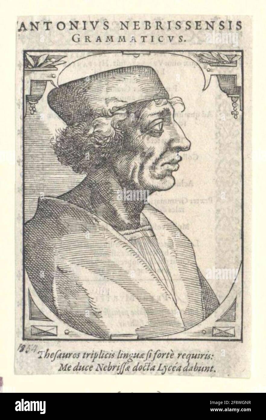 Nebrija, Elio Antonio de. Stockfoto