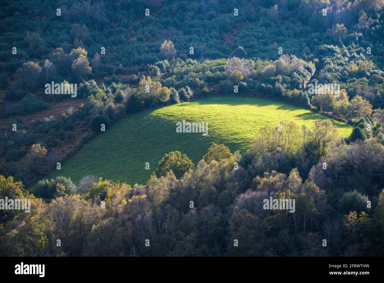 Oval geformte Wiese durch einheimische Wälder und Weiten begrenzt heidekraut im Courel Mountains Geopark Galicia Stockfoto