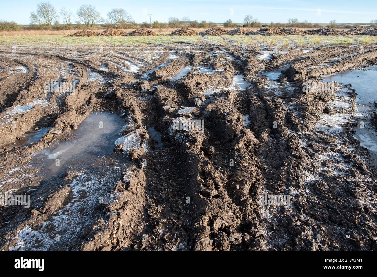 Frosty Morning Field Winter Winterscape UK Rural Seasons Cold Snap Frost Ice Stockfoto