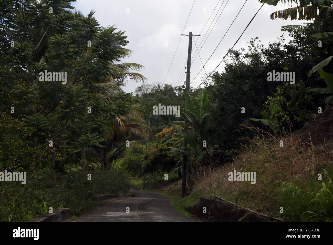 Happy Hill Grenada Country Road mit Stromkabeln Stockfoto
