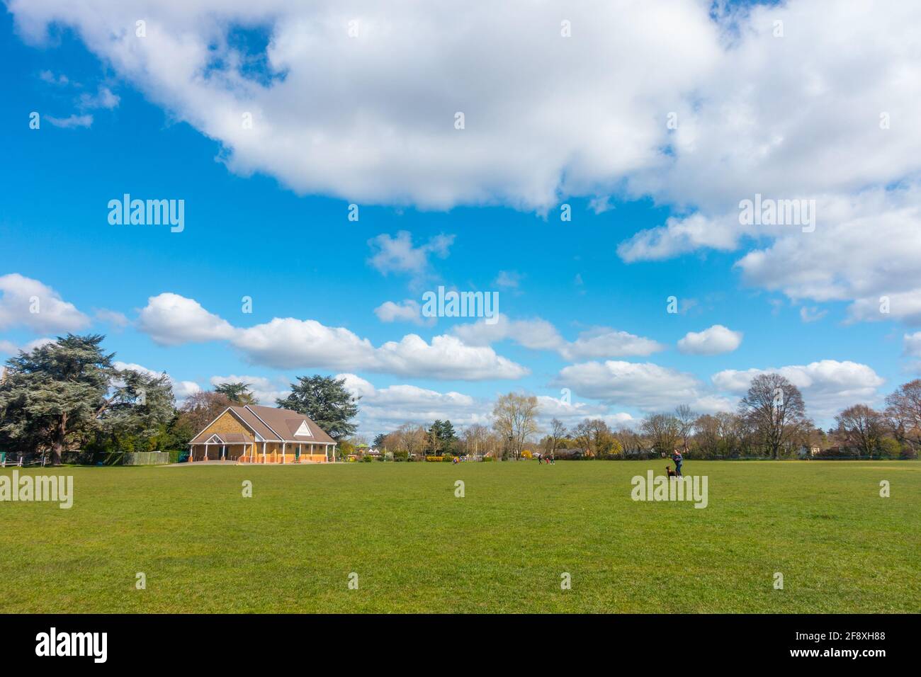 Blick auf den Sol Joel Park, in Earley, Reading, Großbritannien. Ein offener, grüner, öffentlicher Raum an einem Tag mit blauem Himmel und Wolken. Stockfoto