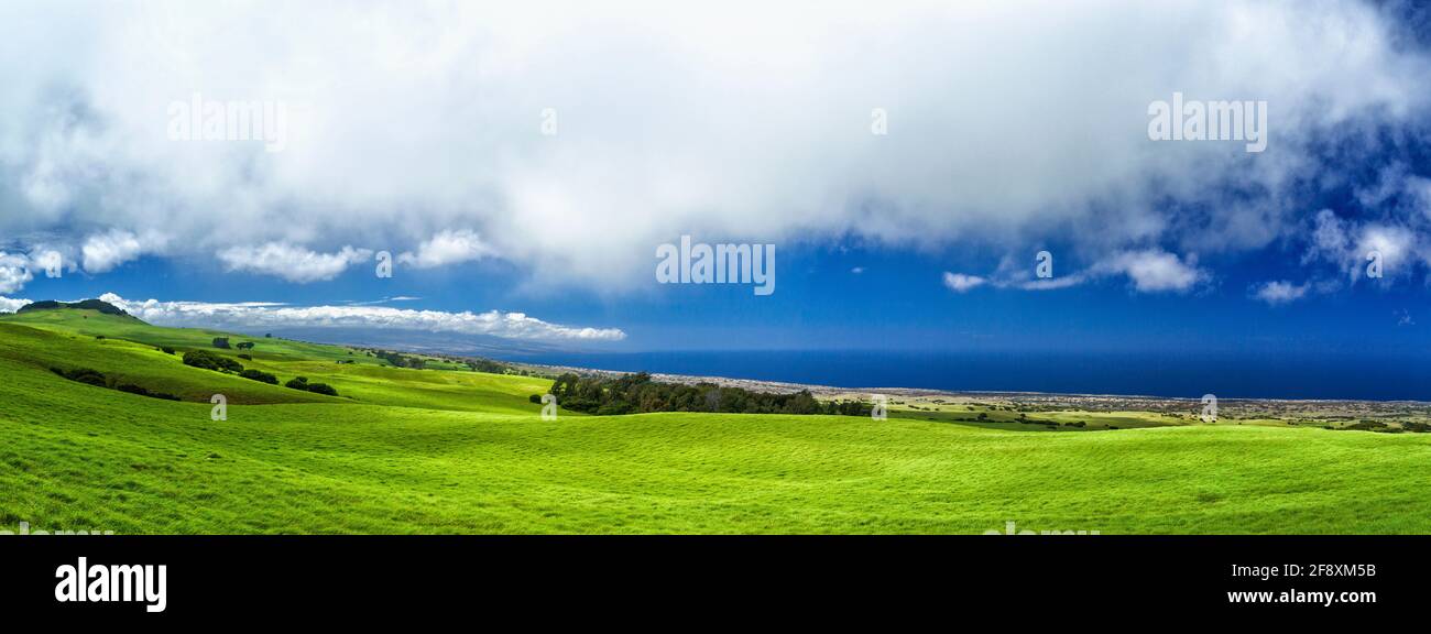 Landschaft mit grüner Wiese und blauem Himmel, Nord-Kohala, Hawaii-Inseln, USA Stockfoto