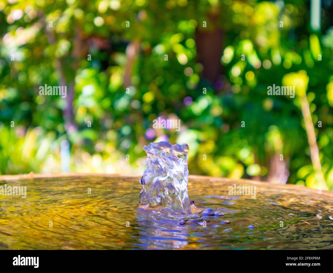 Stellenbosch University Botanical Garden, Kapstadt, Südafrika 08-04-2021 Wasserbrunnen schießt Wasser nach oben. Verursacht Spritzer und Wellen. Stockfoto