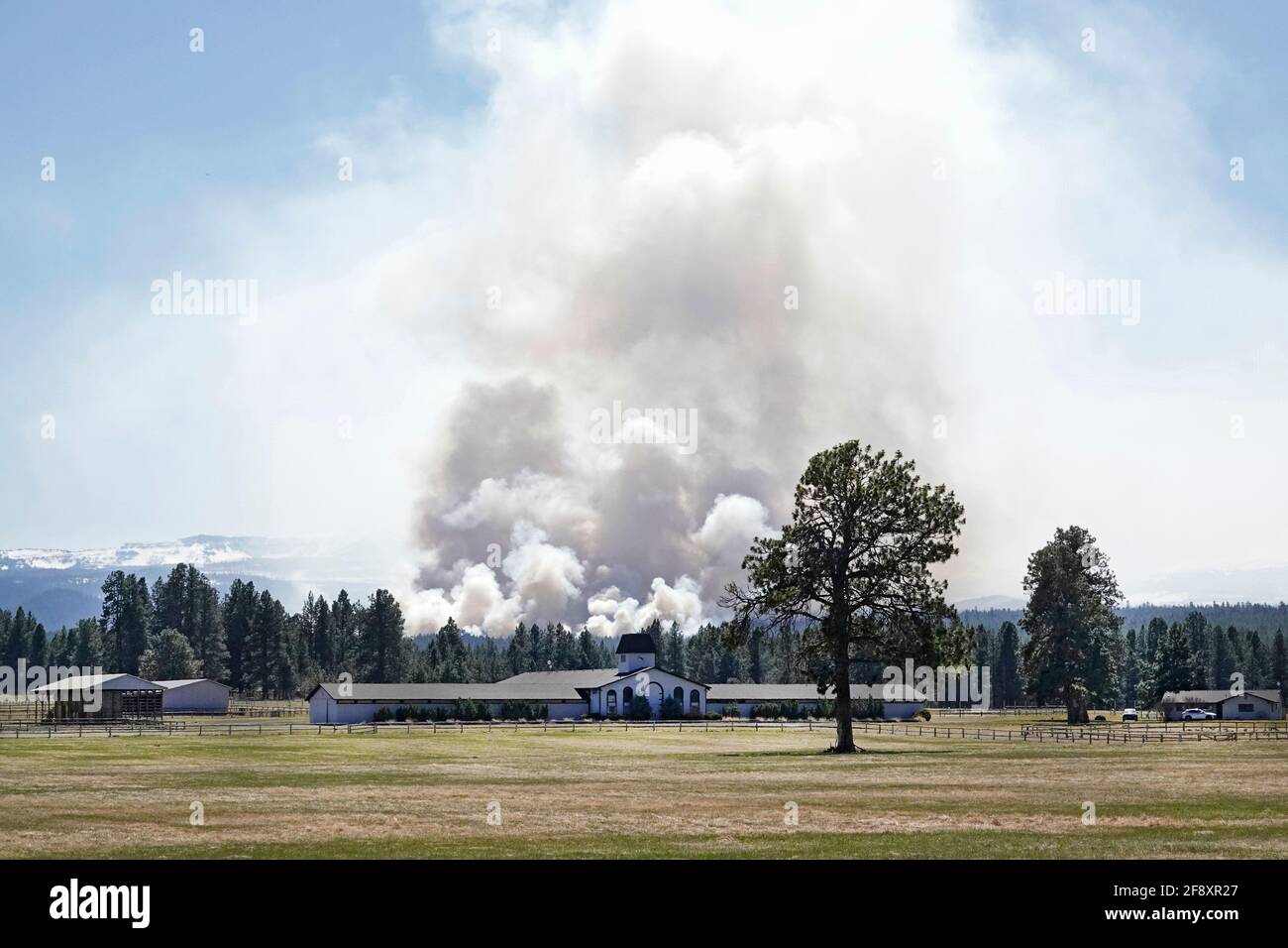 Ein massiver kontrollierter oder vorgeschriebener Brand im Deschutes National Forest in der Nähe der Stadt Sisters, Oregon, verbrennt Unterholz und andere Brennstoffe auf dem f Stockfoto