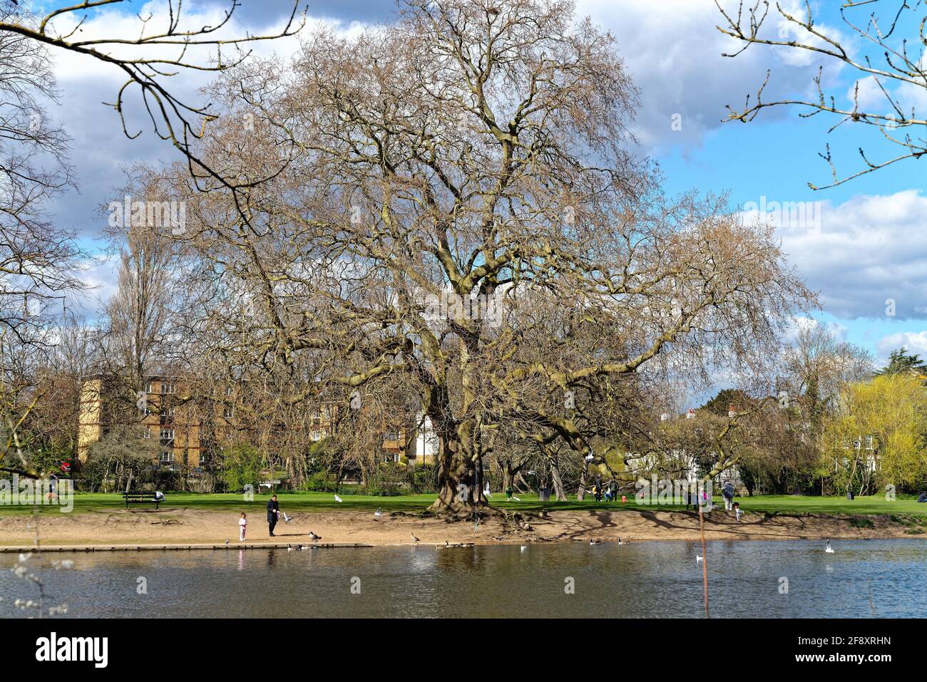 Lower Sunbury von der Walton-Seite des Flusses aus gesehen Thames an einem sonnigen Frühlingstag Surrey England Großbritannien Stockfoto